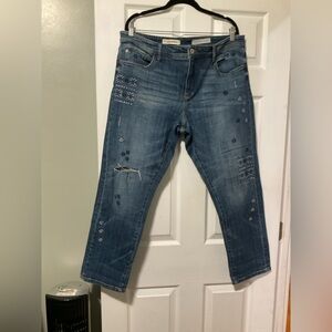 Anthropologie Embroidered Distressed Blue Jeans